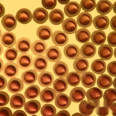Sun_flower_oil_in_alginate.jpg