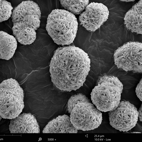 飞纳台式场发射扫描电镜 Phenom Nano G2