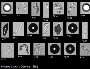 FlowCam8000系列 流式成像颗粒分析系统